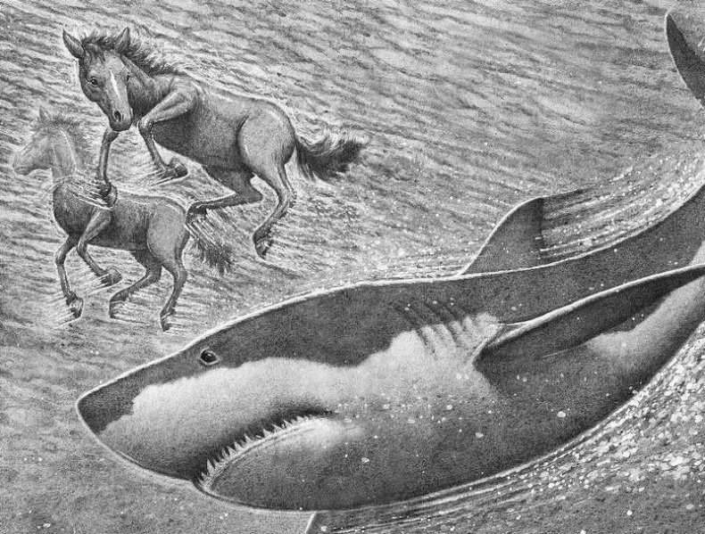 Иллюстрация к книге — Побег [i_003.jpg]