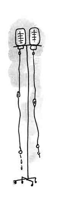 Иллюстрация к книге — Машка как символ веры [i_008.jpg]