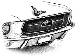 Иллюстрация к книге — Волчьи песни [_216.jpg]