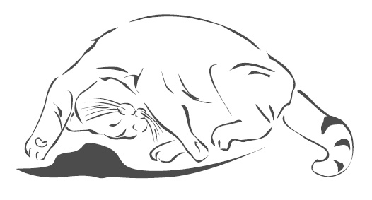 Иллюстрация к книге — Подарок от кота Боба [i_019.jpg]