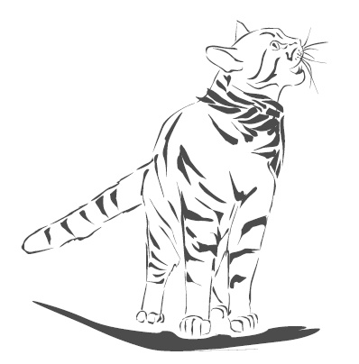 Иллюстрация к книге — Подарок от кота Боба [i_057.jpg]