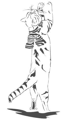 Иллюстрация к книге — Подарок от кота Боба [i_081.jpg]