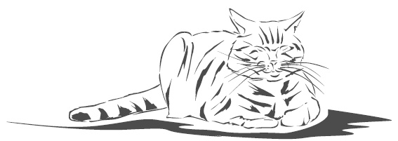 Иллюстрация к книге — Подарок от кота Боба [i_100.jpg]