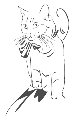 Иллюстрация к книге — Подарок от кота Боба [i_133.jpg]