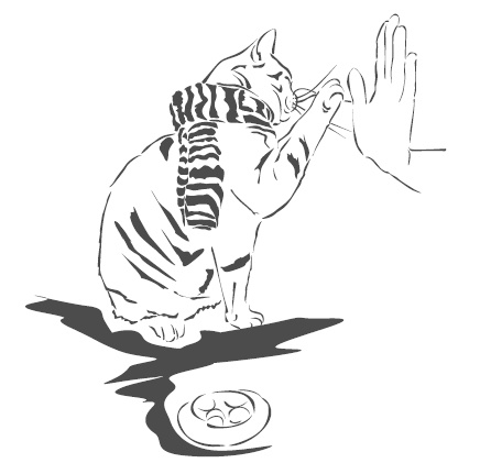 Иллюстрация к книге — Подарок от кота Боба [i_138.jpg]