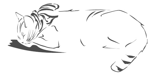 Иллюстрация к книге — Подарок от кота Боба [i_146.jpg]