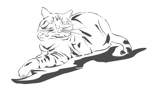 Иллюстрация к книге — Подарок от кота Боба [i_162.jpg]