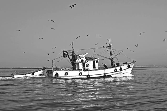 Иллюстрация к книге — Странник и его страна [_092.jpg]