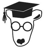 Иллюстрация к книге — Прокачай мозг методом Павла Дурова [image1.jpg]