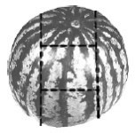 Иллюстрация к книге — Прокачай мозг методом Павла Дурова [image104.jpg]