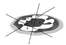 Иллюстрация к книге — Прокачай мозг методом Павла Дурова [image75.jpg]