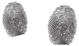 Иллюстрация к книге — Прокачай мозг методом Шерлока Холмса [i_007.jpg]