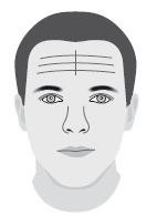 Иллюстрация к книге — Метод "Все врут". Манипулируем реальностью - техники доктора Хауса [i_008.jpg]