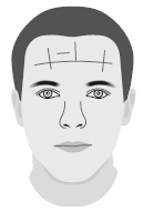 Иллюстрация к книге — Метод "Все врут". Манипулируем реальностью - техники доктора Хауса [i_010.jpg]