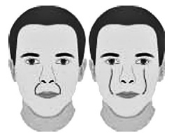 Иллюстрация к книге — Метод "Все врут". Манипулируем реальностью - техники доктора Хауса [i_056.jpg]