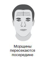 Иллюстрация к книге — Курс начинающего лжеца от А до Я [i_008.jpg]