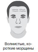 Иллюстрация к книге — Курс начинающего лжеца от А до Я [i_012.jpg]