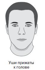 Иллюстрация к книге — Курс начинающего лжеца от А до Я [i_039.jpg]