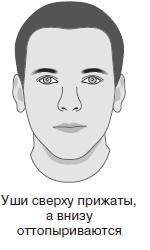 Иллюстрация к книге — Курс начинающего лжеца от А до Я [i_040.jpg]