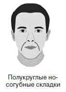 Иллюстрация к книге — Курс начинающего лжеца от А до Я [i_049.jpg]