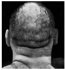 Иллюстрация к книге — Курс начинающего лжеца от А до Я [i_078.jpg]