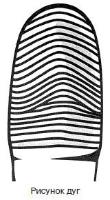 Иллюстрация к книге — Курс начинающего лжеца от А до Я [i_107.jpg]