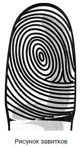 Иллюстрация к книге — Курс начинающего лжеца от А до Я [i_108.jpg]