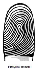 Иллюстрация к книге — Курс начинающего лжеца от А до Я [i_109.jpg]