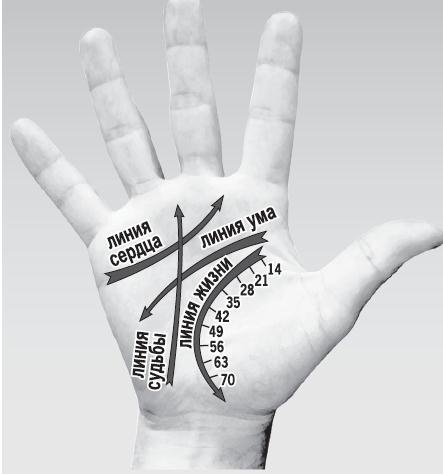 Иллюстрация к книге — Курс начинающего лжеца от А до Я [i_114.jpg]