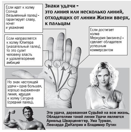 Иллюстрация к книге — Курс начинающего лжеца от А до Я [i_116.jpg]