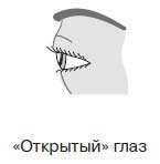 Иллюстрация к книге — Ты - лжец. Как научиться обманывать и манипулировать другими людьми [i_032.jpg]