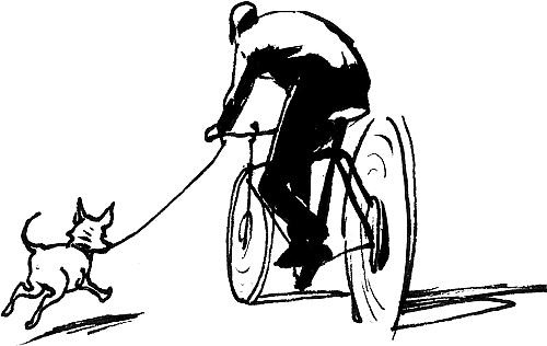 Иллюстрация к книге — Искусство прокрастинации [_9.jpg]