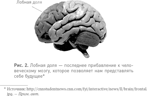 Иллюстрация к книге — Спотыкаясь о счастье [i_002.jpg]