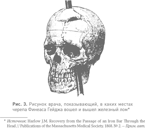Иллюстрация к книге — Спотыкаясь о счастье [i_003.jpg]