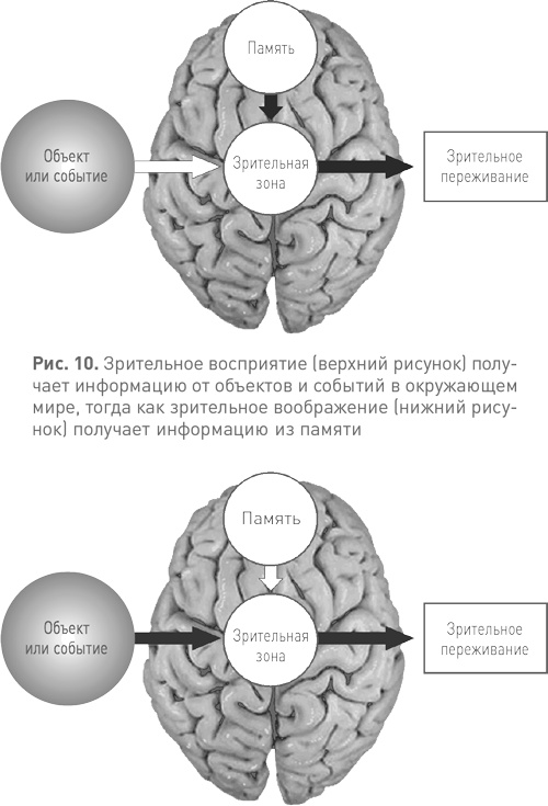 Иллюстрация к книге — Спотыкаясь о счастье [i_010.jpg]