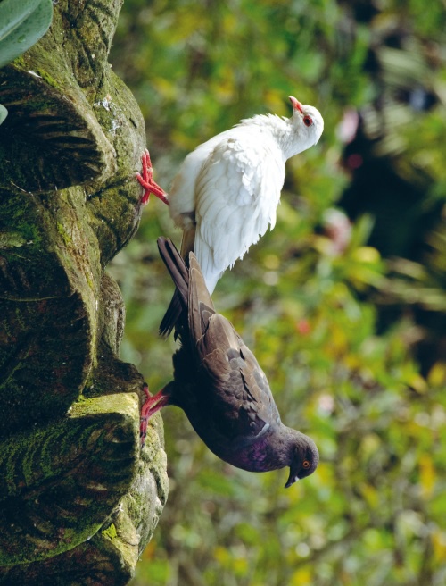 Иллюстрация к книге — Большая книга о счастье [i_028.jpg]