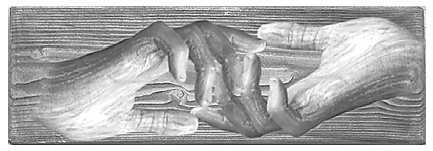 Иллюстрация к книге — 9 тайных посланий от монаха, который продал свой "феррари" [i_007.jpg]