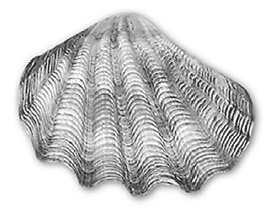 Иллюстрация к книге — 9 тайных посланий от монаха, который продал свой "феррари" [i_008.jpg]