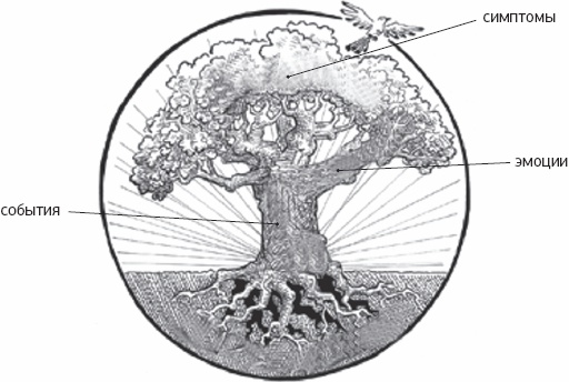 Иллюстрация к книге — Исцеляющие точки [_02.jpg]