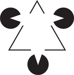 Иллюстрация к книге — Развитие интуиции. Как принимать верные решения без сомнений и стресса [i_015.jpg]