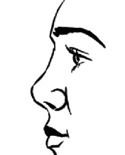 Иллюстрация к книге — Мужские хитрости и женские уловки. Лучший справочник по распознаванию лжи! Книга-тренажер [_032.jpg]