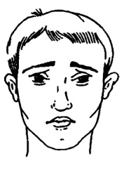 Иллюстрация к книге — Мужские хитрости и женские уловки. Лучший справочник по распознаванию лжи! Книга-тренажер [_039.jpg]