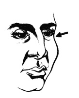 Иллюстрация к книге — Мужские хитрости и женские уловки. Лучший справочник по распознаванию лжи! Книга-тренажер [_041.jpg]