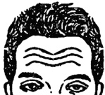 Иллюстрация к книге — Мужские хитрости и женские уловки. Лучший справочник по распознаванию лжи! Книга-тренажер [_079.jpg]