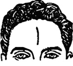 Иллюстрация к книге — Мужские хитрости и женские уловки. Лучший справочник по распознаванию лжи! Книга-тренажер [_080.jpg]