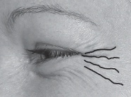 Иллюстрация к книге — Мужские хитрости и женские уловки. Лучший справочник по распознаванию лжи! Книга-тренажер [n092.jpg]