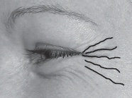 Иллюстрация к книге — Мужские хитрости и женские уловки. Лучший справочник по распознаванию лжи! Книга-тренажер [n094.jpg]