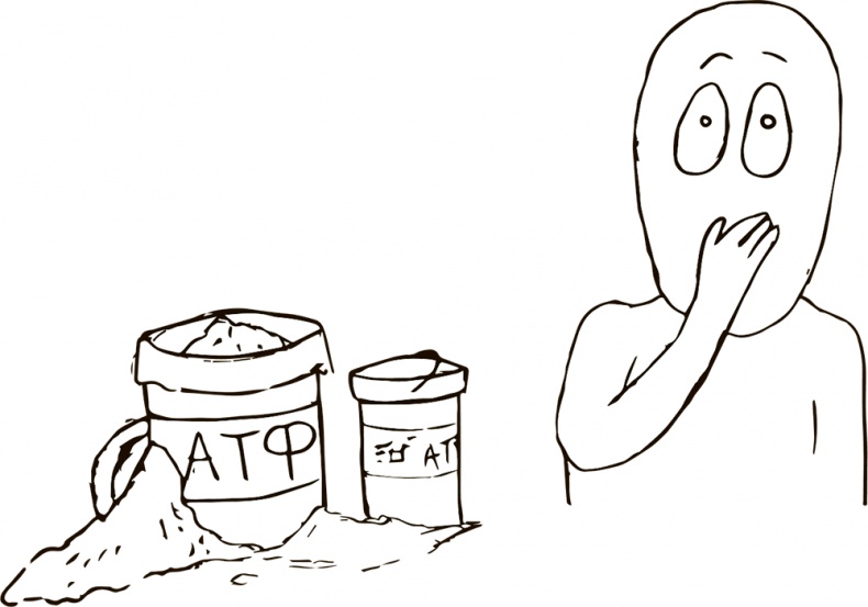 Иллюстрация к книге — Кто бы мог подумать! Как мозг заставляет нас делать глупости [i_006.jpg]