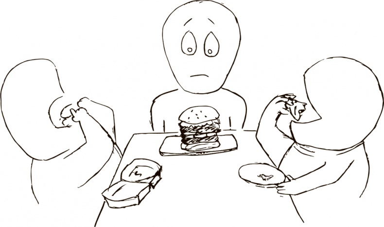 Иллюстрация к книге — Кто бы мог подумать! Как мозг заставляет нас делать глупости [i_010.jpg]