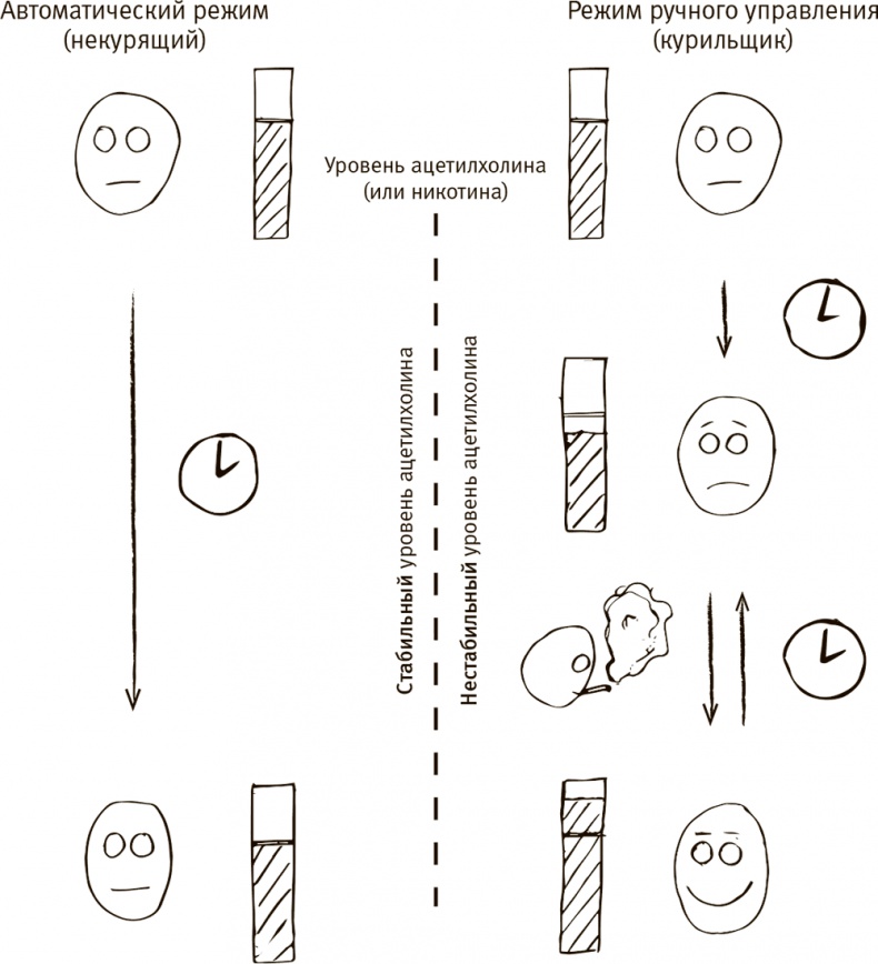 Иллюстрация к книге — Кто бы мог подумать! Как мозг заставляет нас делать глупости [i_016.jpg]